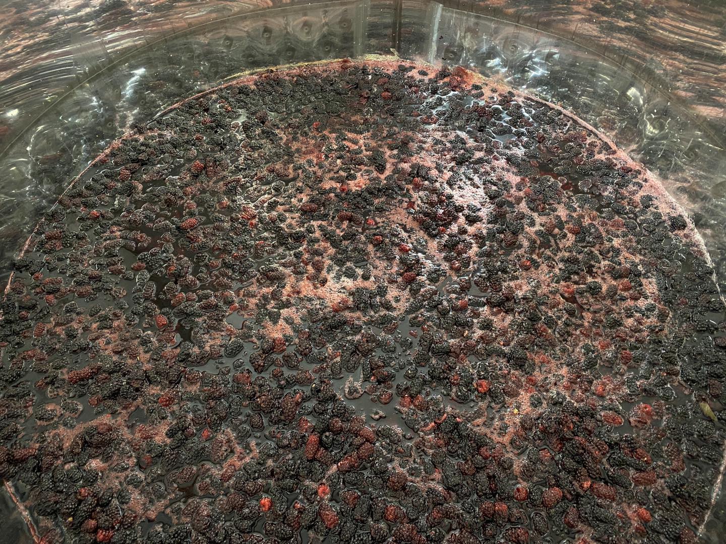 Contrivance Wine & Mead Co. Winery, Meadery, and Tasting Room in